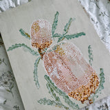 Banksia in Bloom, 2023