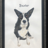 Custom Pet Portrait
