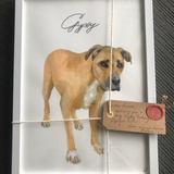 Custom Pet Portrait