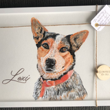 Custom Pet Portrait