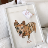 Custom Pet Portrait