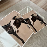 Girl on the horse Fine Art Print