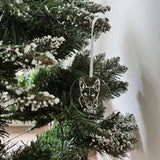 Personalised Pet Christmas Tree decorations